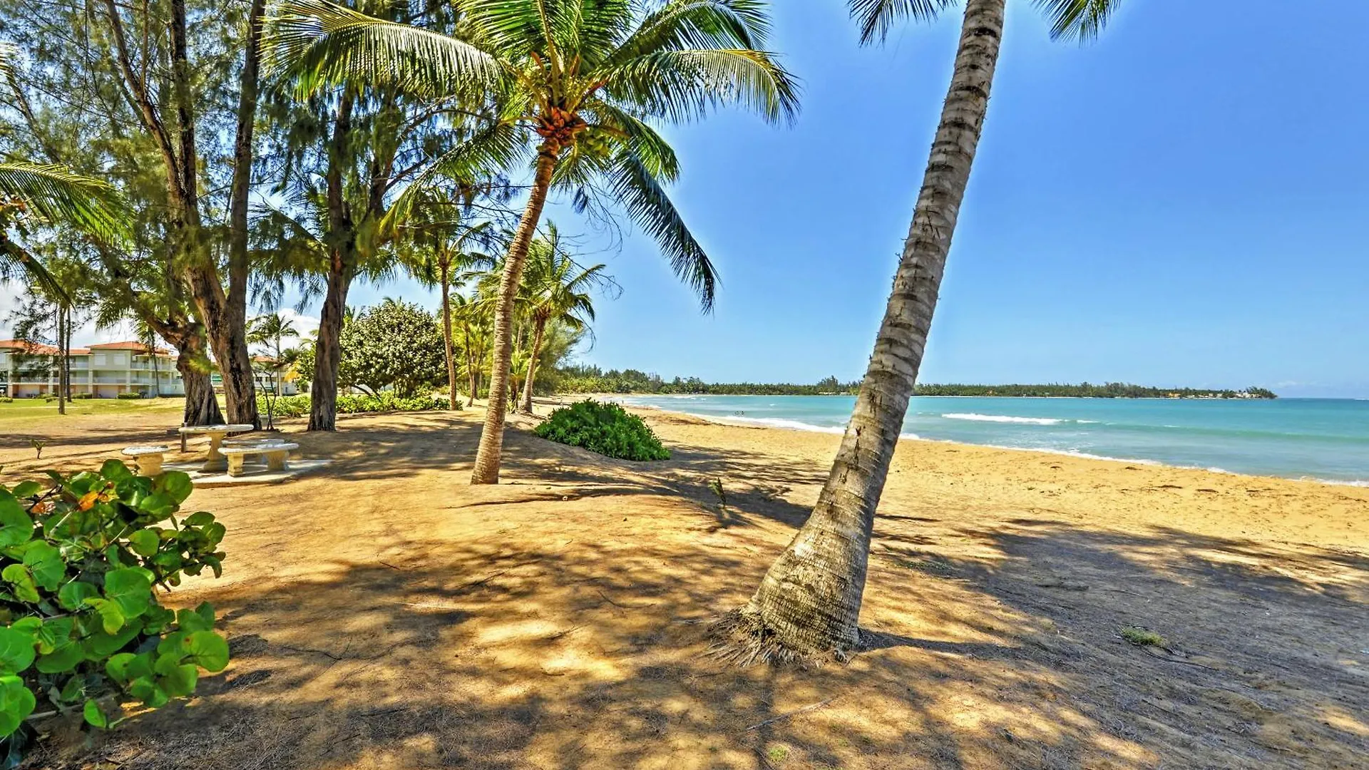 Rio Grande Resort Condo With Ocean Views And Patio! Rio Grande